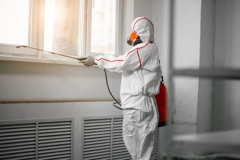 Professional mold remediation services in Harleton, TX